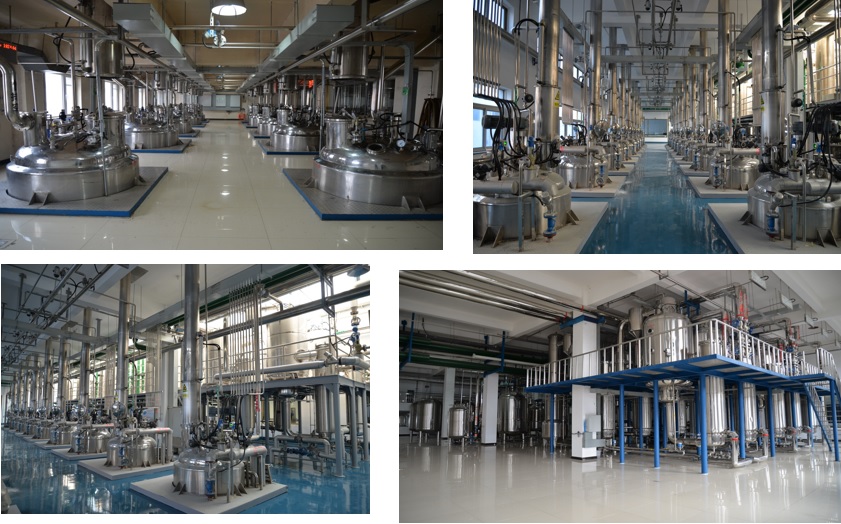 6165cc金沙总站(China)检测有限公司-BinG百科